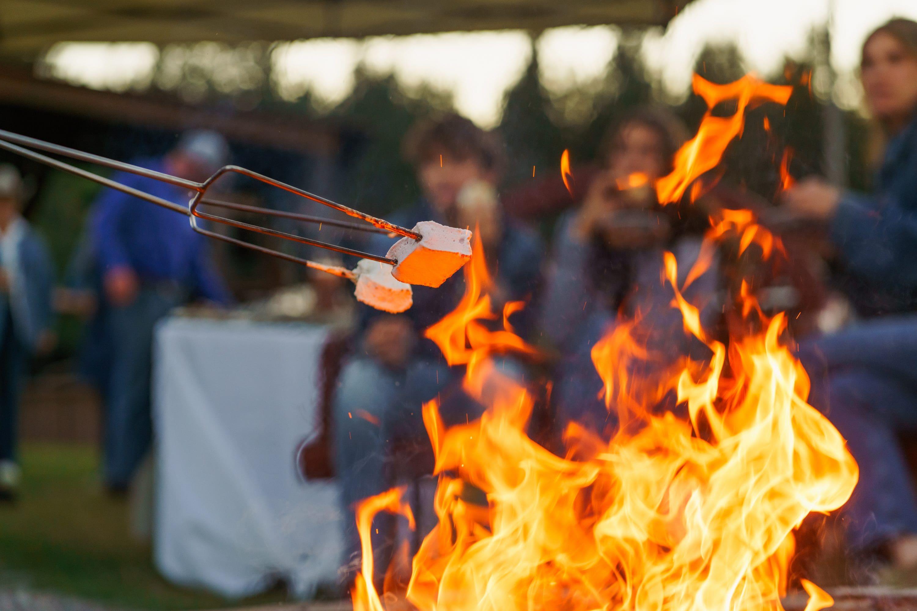 Two marshmallows being cooked over a fire for smores.