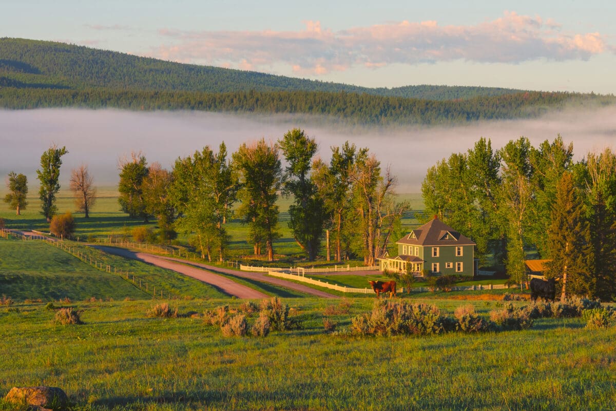 Overview of a ranch with mist in the background. Rolling green hills set in Montana.