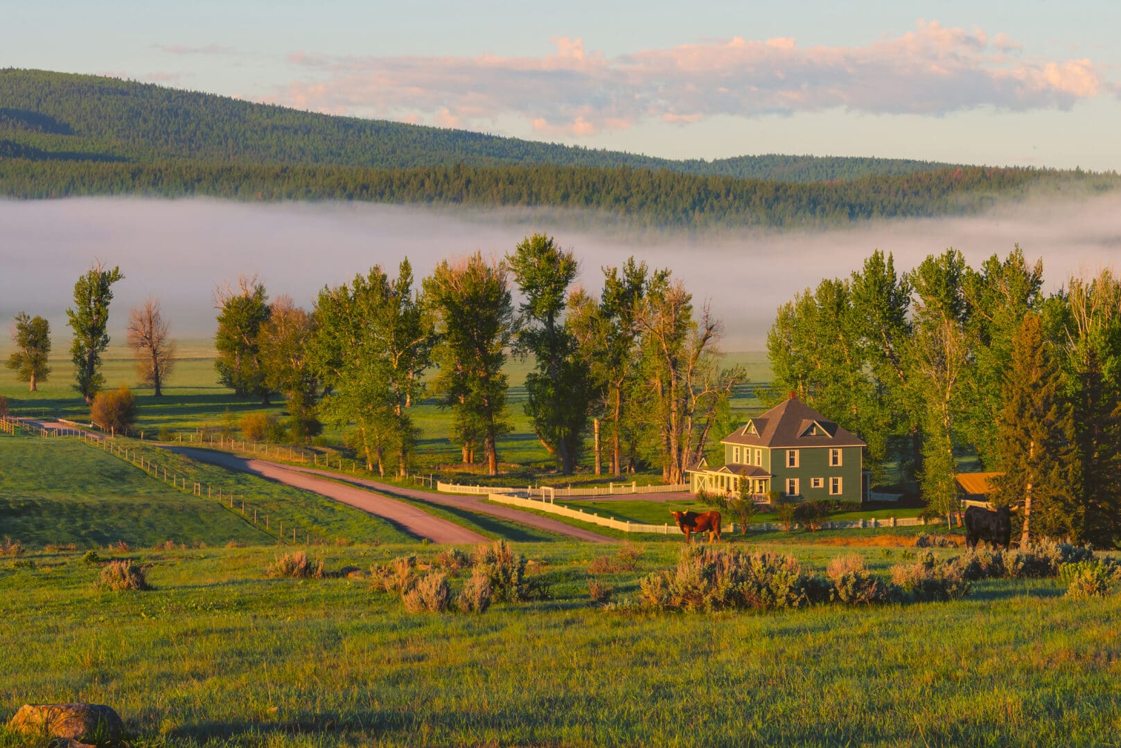 Overview of a ranch with mist in the background. Rolling green hills set in Montana.