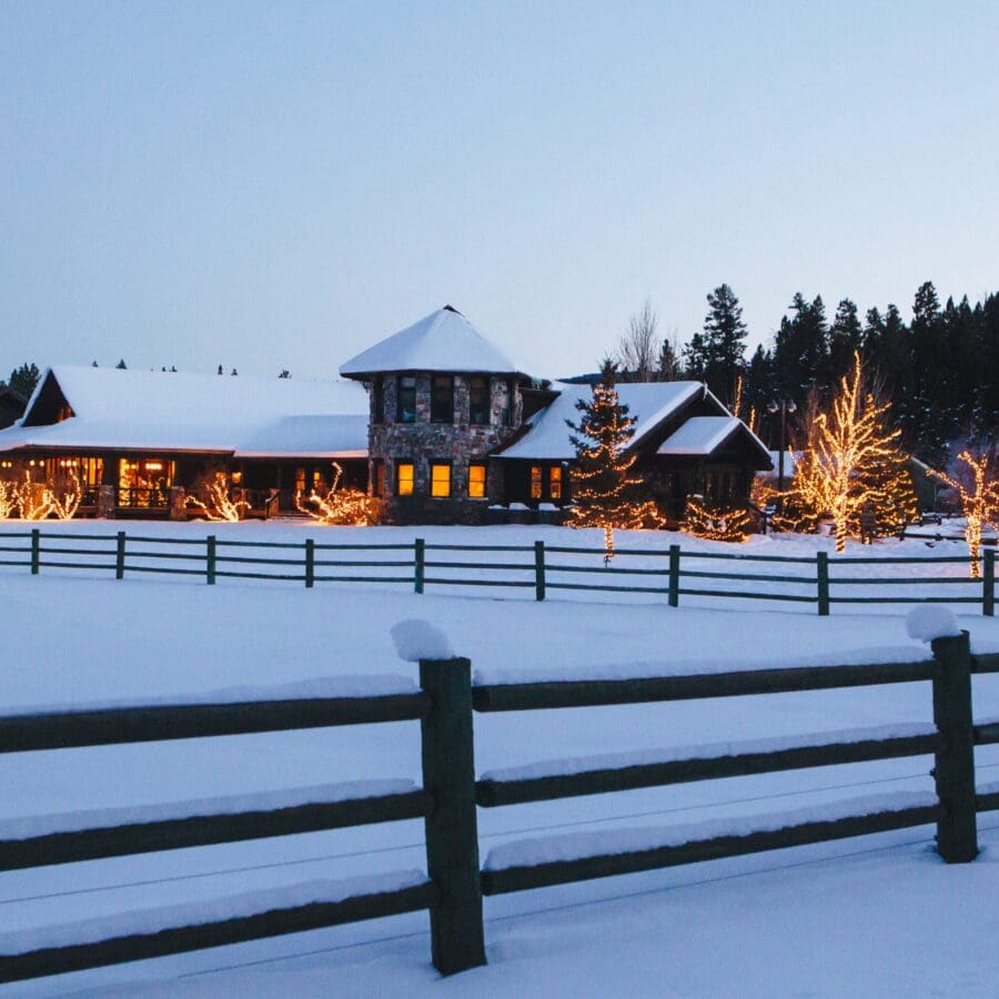 Snowy view of brick building and trees covered in lights.