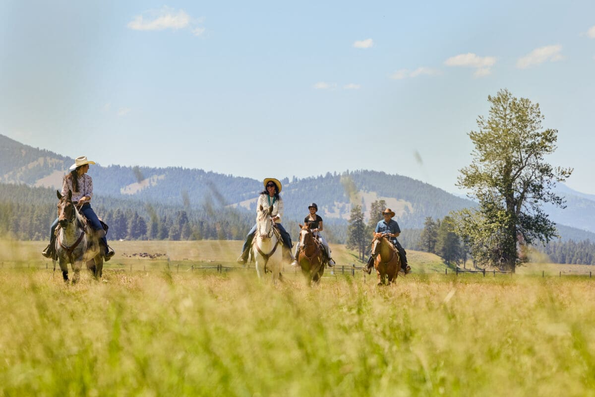 Group of individuals riding horses on a sunny day through a plain with mountains in the background.