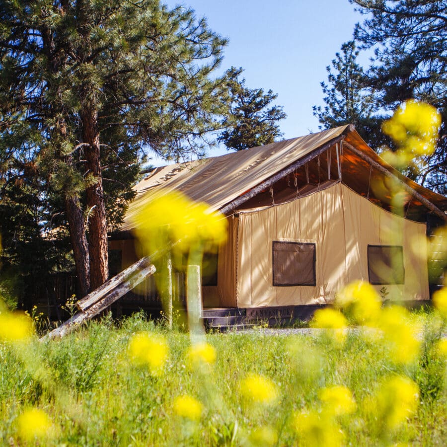 Low shot of a tent with flowers and trees in the background.