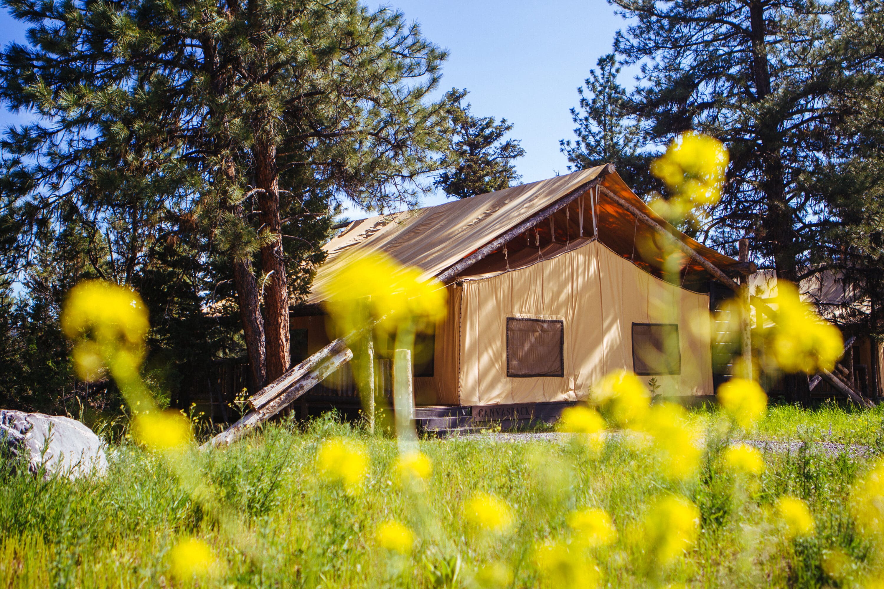 Low shot of a tent with flowers and trees in the background.