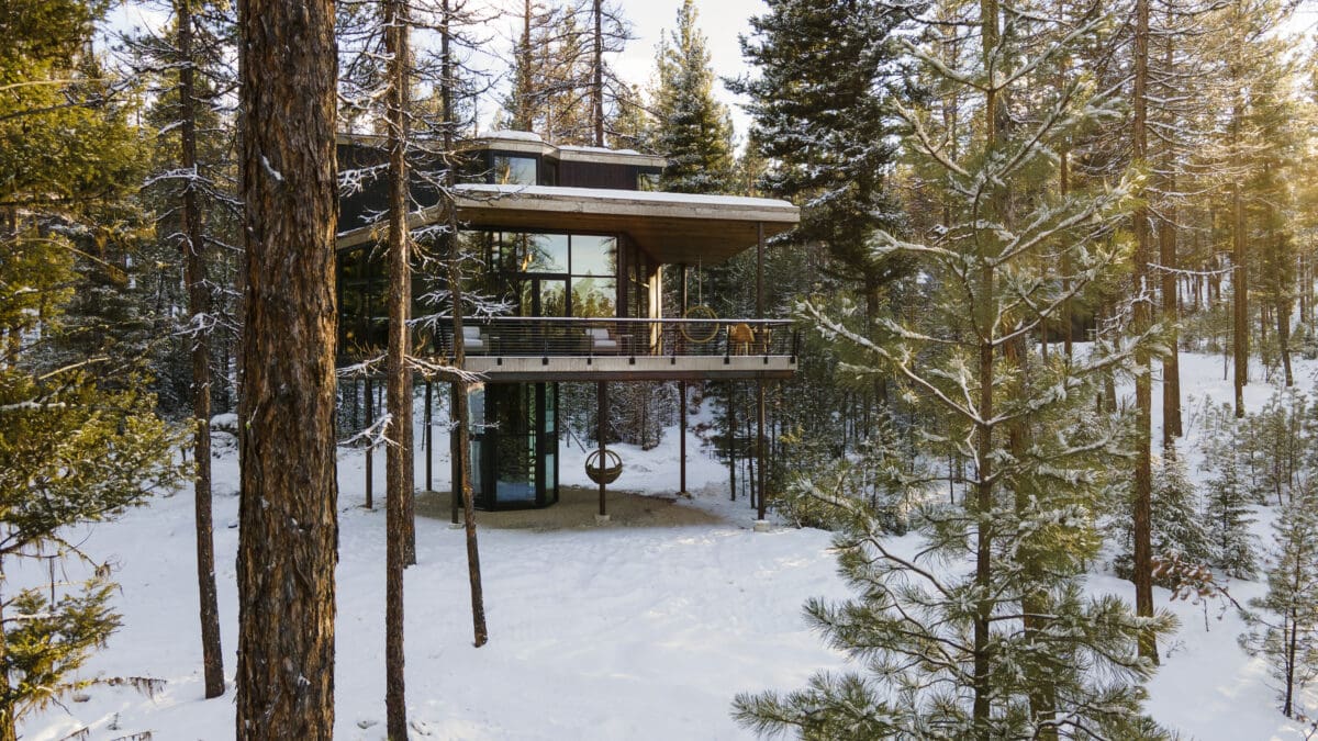 Photo of glass treehouse surrounded by snowy trees.