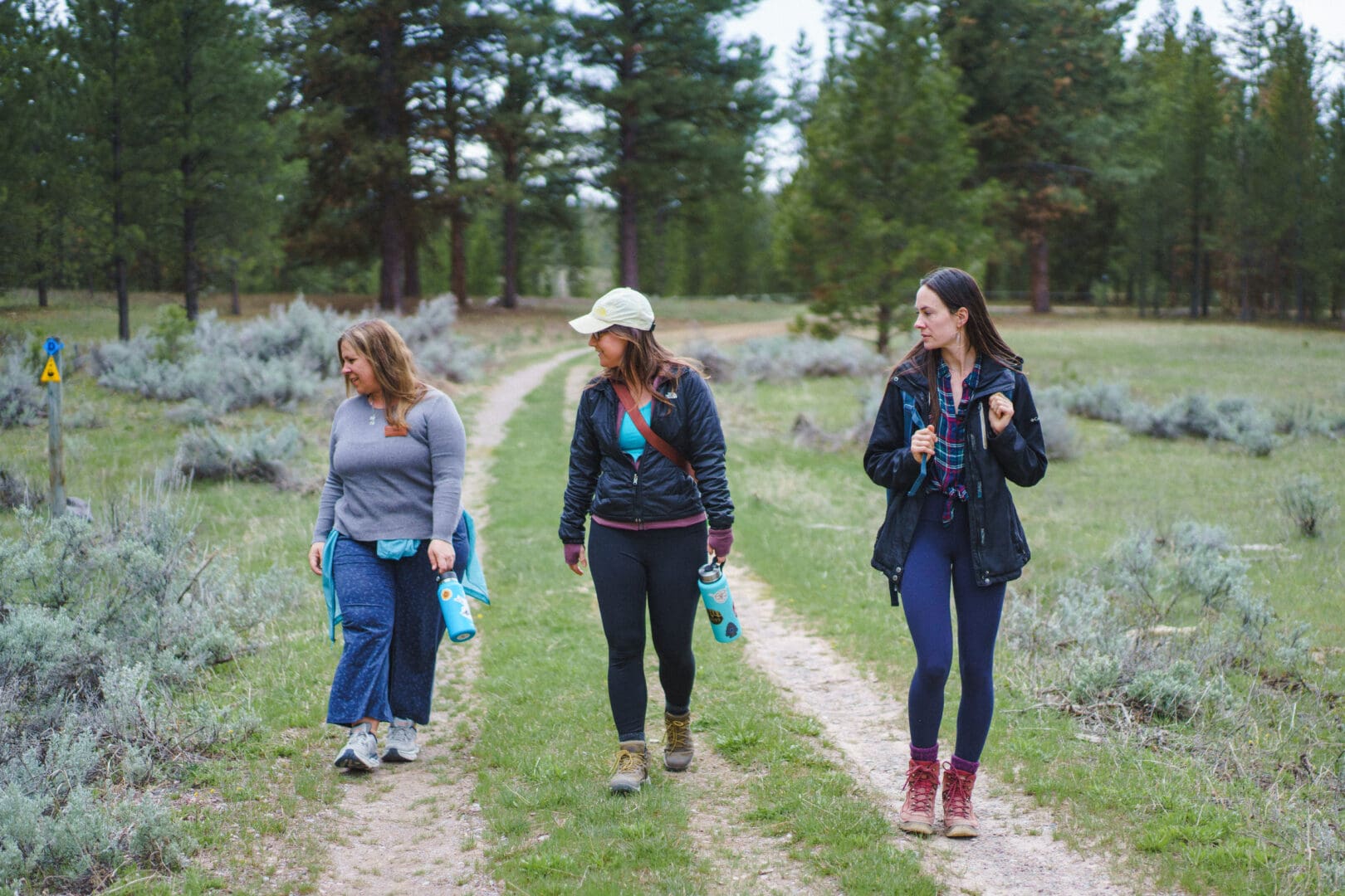 Three women hiking in a forest.