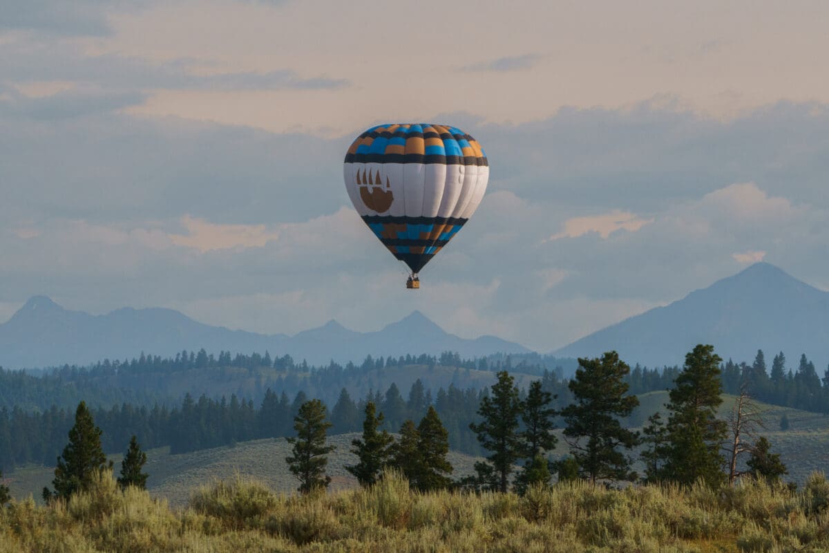 Paws Up Montana themed hot air balloon rising above trees with mountains in the distance.