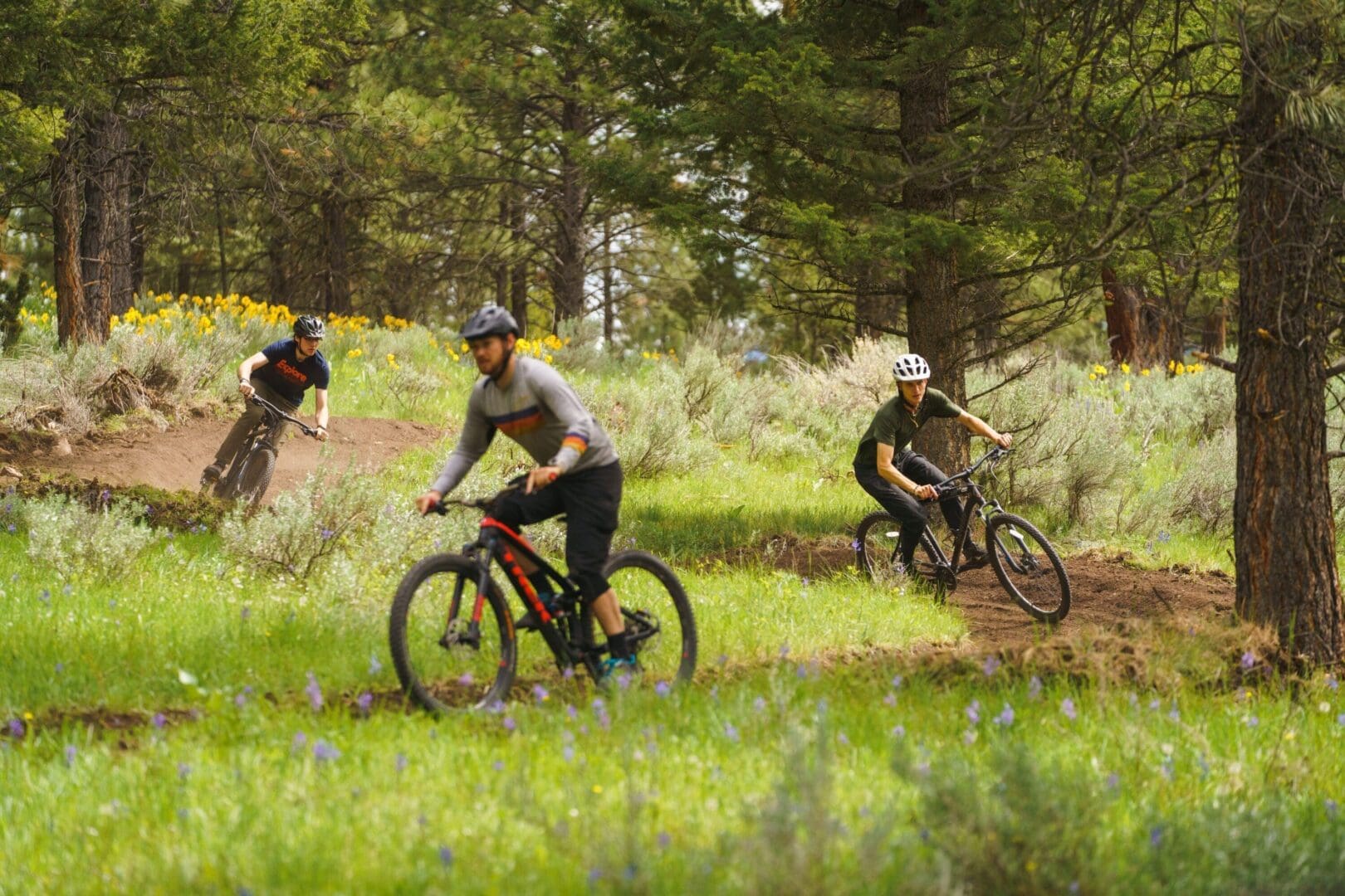 Three men mountain biking through trails in a forest.