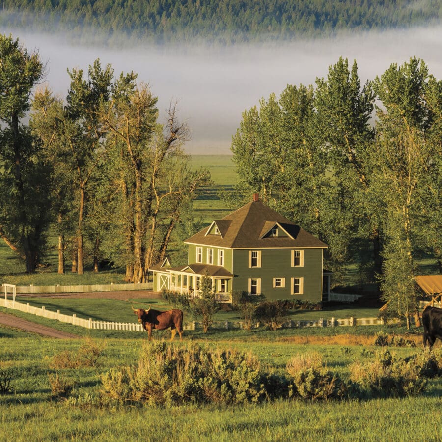 Green old home overlooking a field with trees and dense morning fog.