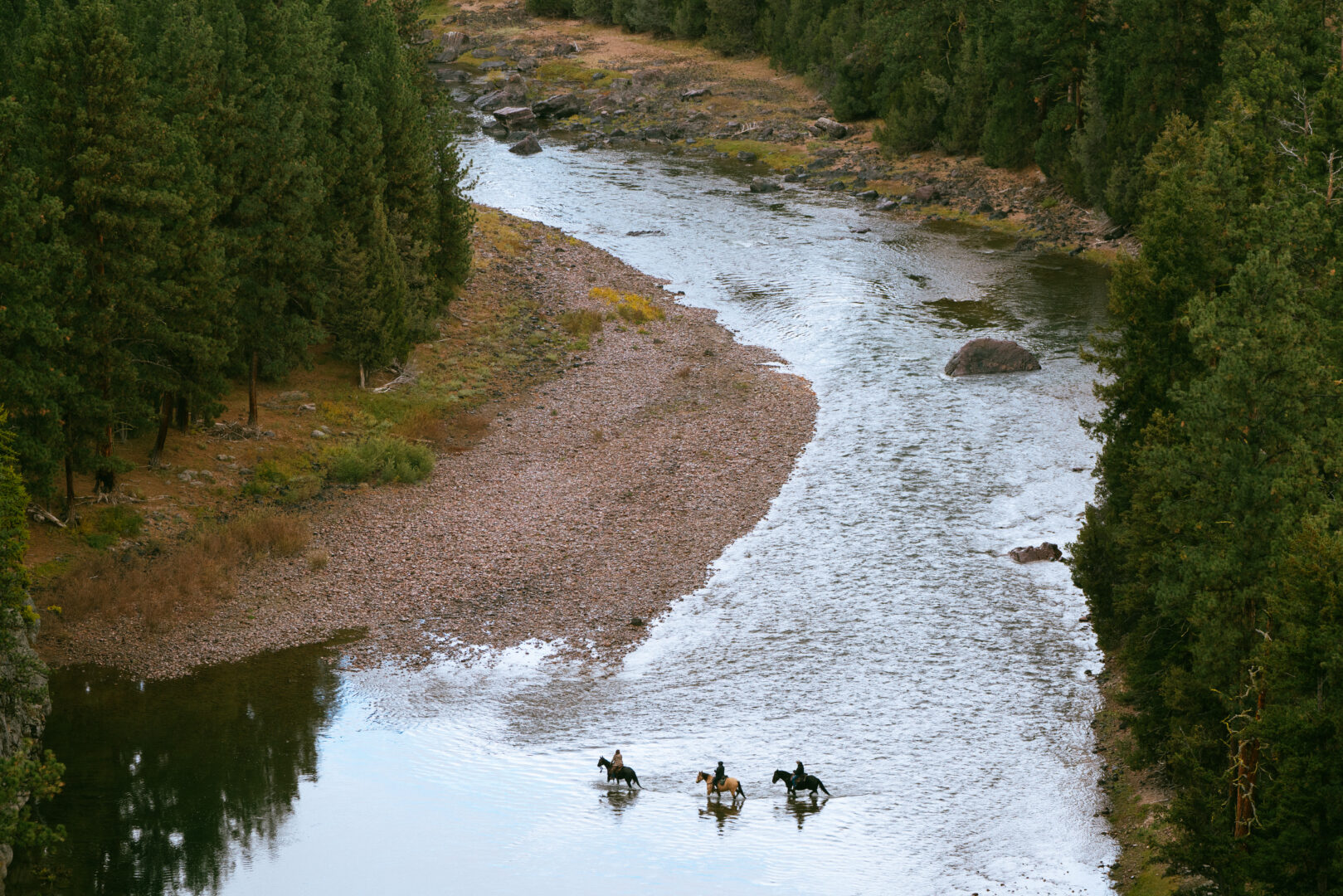 River with three horses with trees on each side.