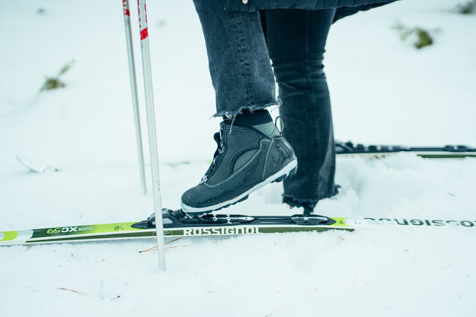 Close up of a person putting their feet in cross-country skiis in the snow.