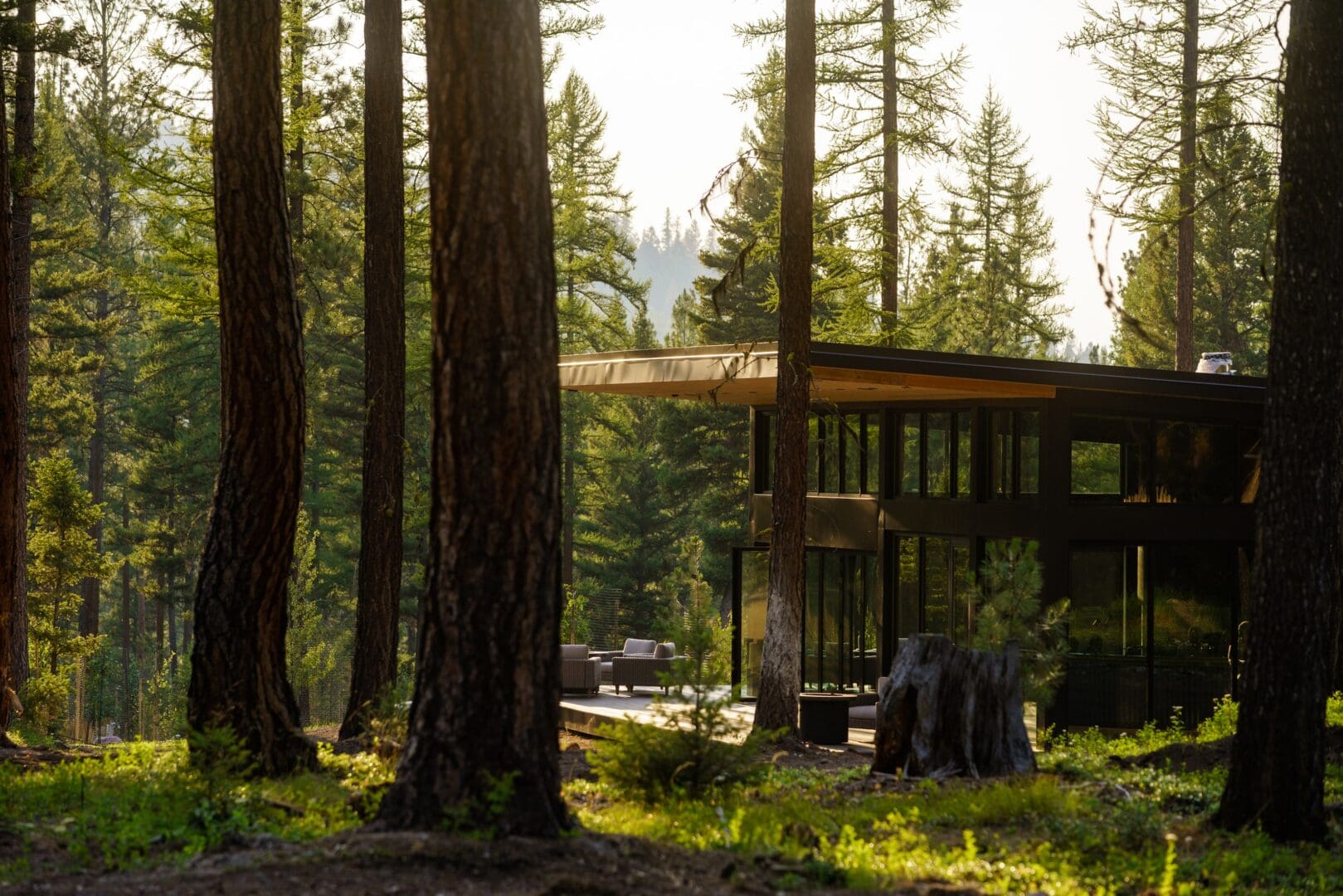 A modern restaurant hidden in green woods.