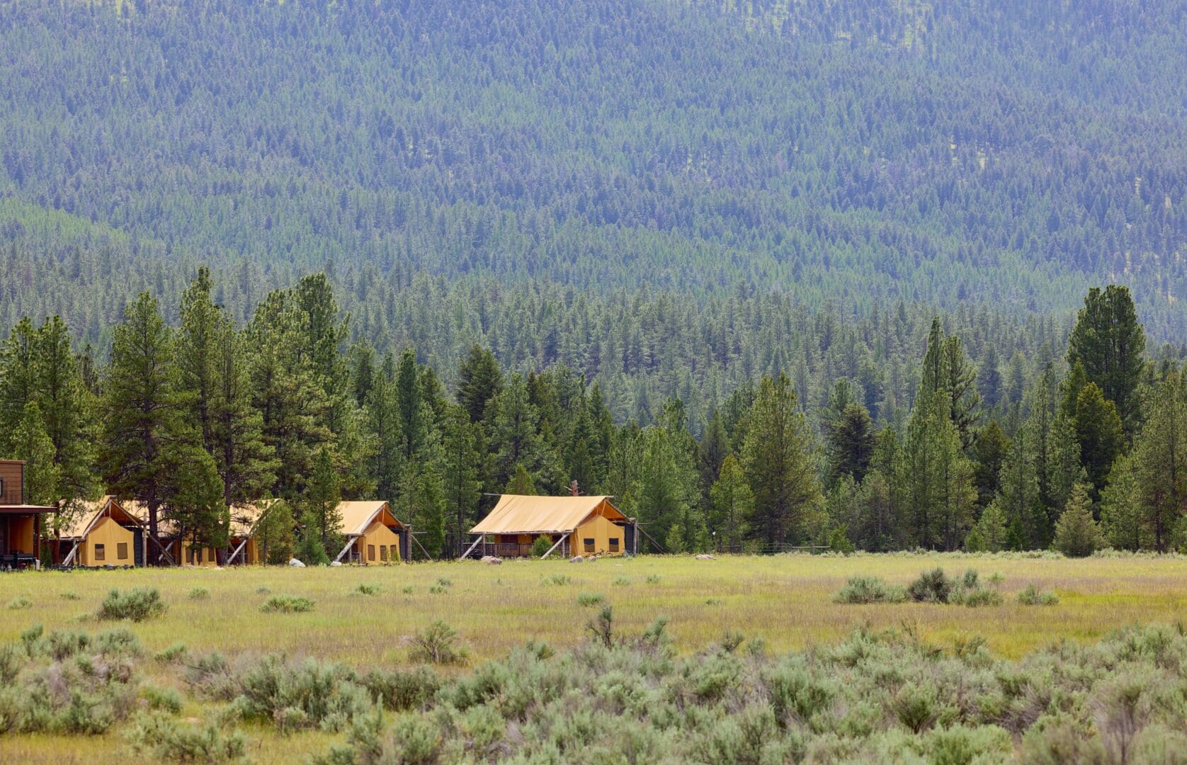 Series of glamping tents set up in a row with mountains and trees behind them.