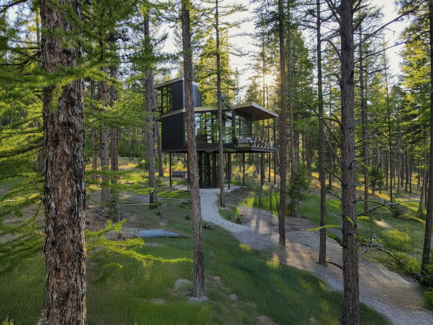 Glass tree house home in the woods.