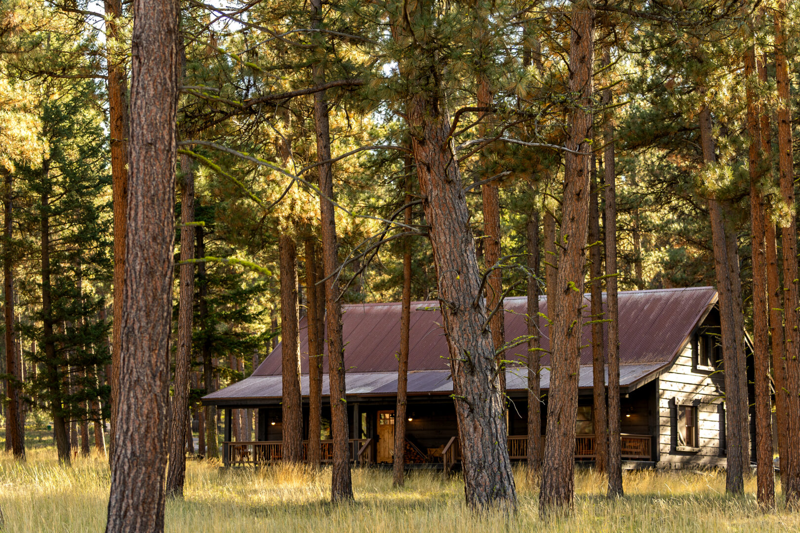 A long wooden cabin with a metal dark roof surrounded by trees.